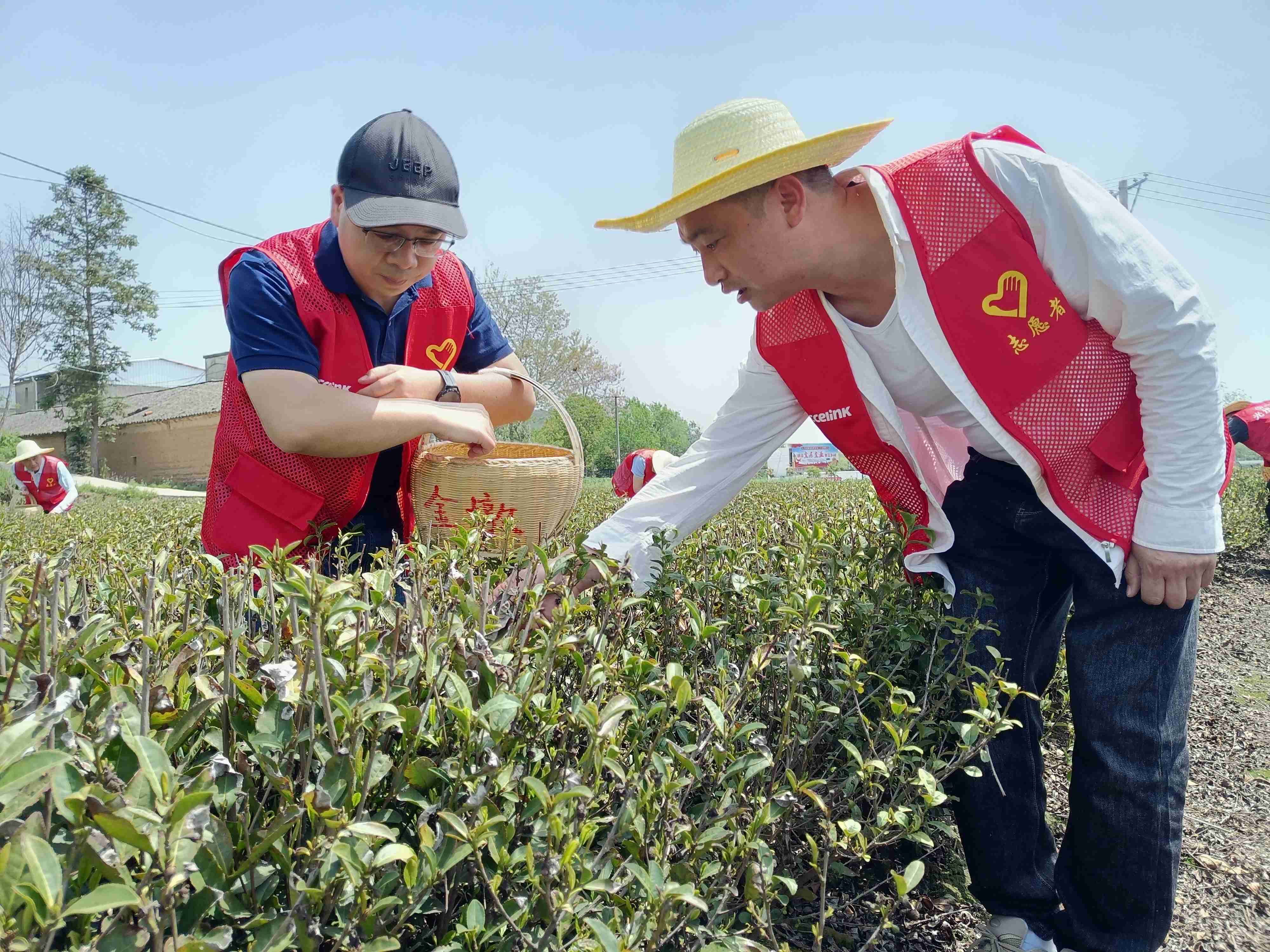 GA黄金甲·(中国区)官方网站