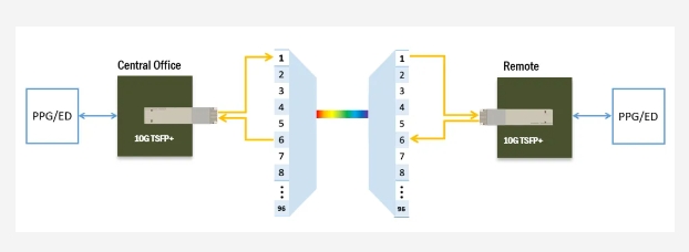 GA黄金甲·(中国区)官方网站
